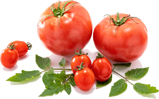 tomato