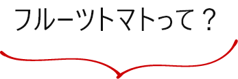 フルーツトマトって？